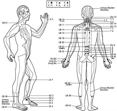 Acupuncture_chart_300px